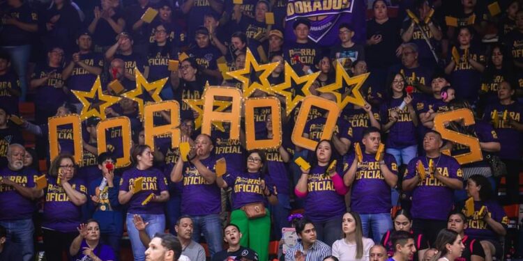 Los “Dorados” a un triunfo de coronarse campeón