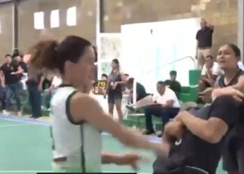 Encuentro entre «Quetzales» y «Avispas» termina en golpes