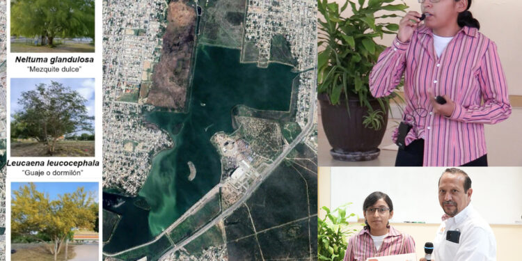 Analiza la UAT el uso de plantas nativas para recuperar suelos contaminados