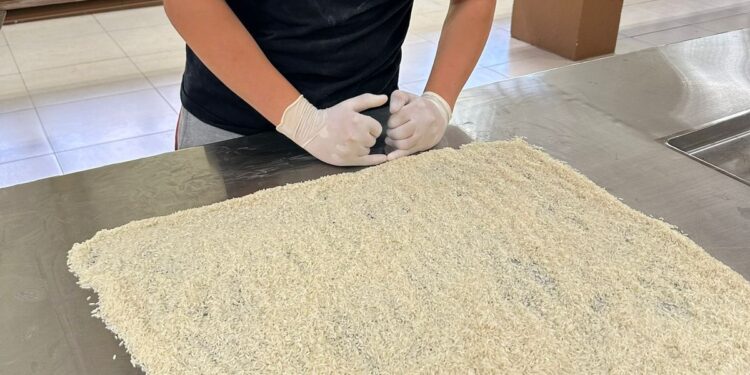 Alumno de la UAT representará a México en certamen de ciencias en Indonesia