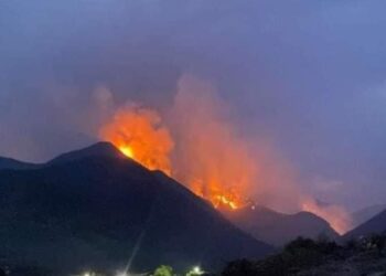 Incendio forestal en «Cañón del Novillo» desafía a autoridades estatales