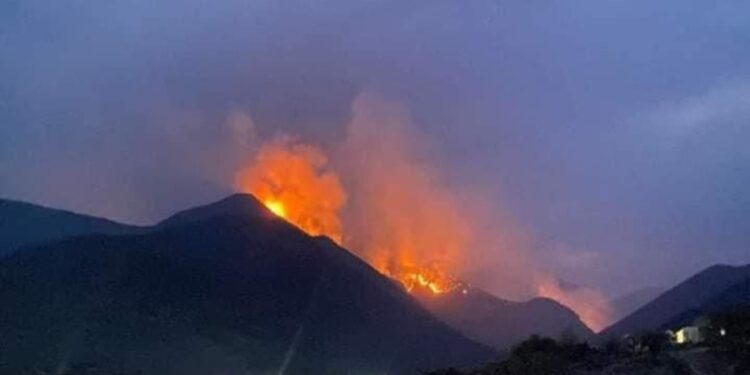 Incendio forestal en «Cañón del Novillo» desafía a autoridades estatales