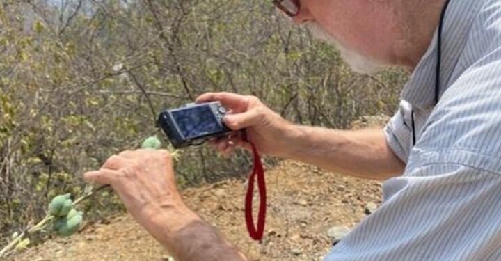La UAT y la Universidad de Texas-Austin colaboran en estudios de ecología y medioambiente