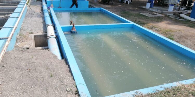 Modernizan infraestructura hidráulica y eléctrica en Xicoténcatl y Altamira