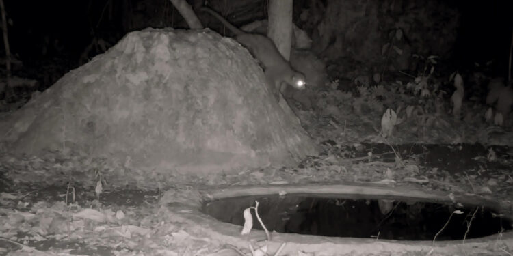 Fortalece Comisión de Parques instalación de bebederos en zonas serranas