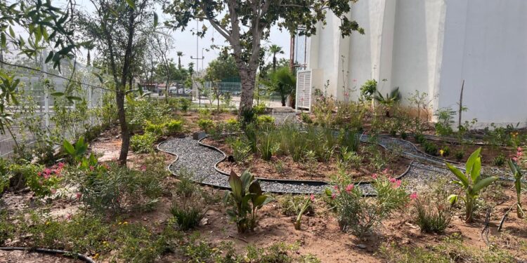 Rehabilitación de espacios deportivos, a punto de completarse