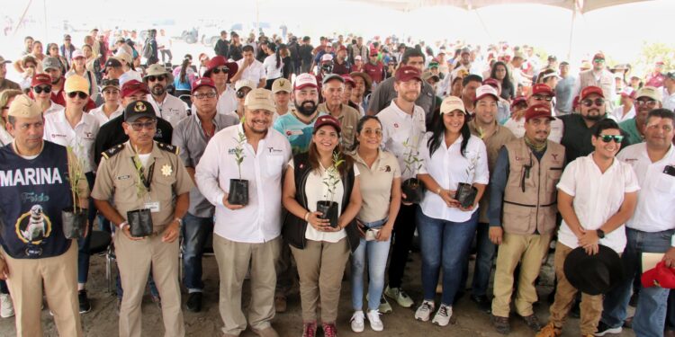 Refuerza SEDUMA reforestación de mangle en costas tamaulipecas