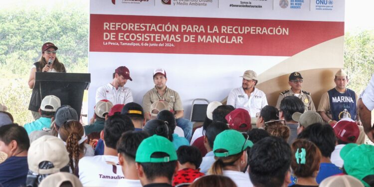 Refuerza SEDUMA reforestación de mangle en costas tamaulipecas