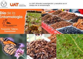 La UAT difunde su investigación y estudios en el campo de la entomología