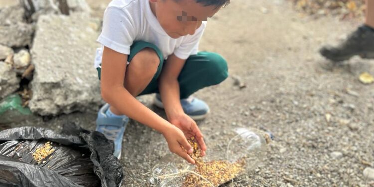 Elaboran niñas y niños bebederos para aves con material reciclable