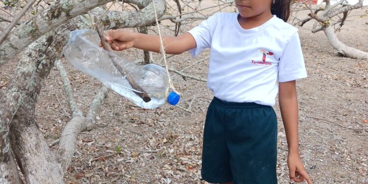Elaboran niñas y niños bebederos para aves con material reciclable