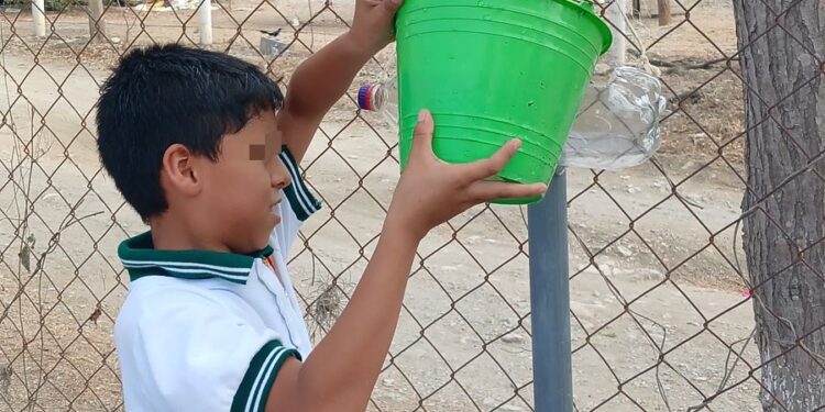 Elaboran niñas y niños bebederos para aves con material reciclable
