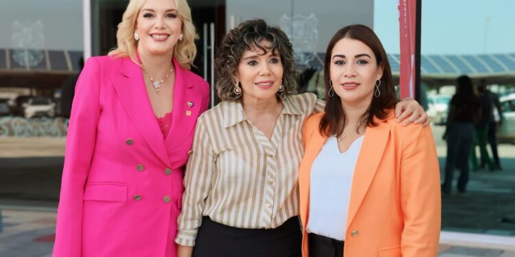 Contribuye Instituto de las Mujeres de Tamaulipas al Diagnóstico Nacional sobre la Violencia contra las Mujeres