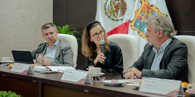 Promueve Secretaría de Economía inversión de empresas francesas en Tamaulipas