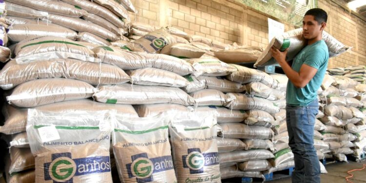 Autoriza Gobierno de Tamaulipas programa emergente para ganaderos afectados por la sequía