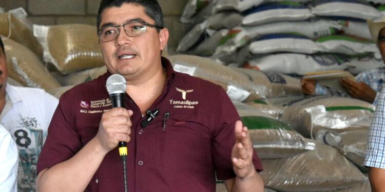 Autoriza Gobierno de Tamaulipas programa emergente para ganaderos afectados por la sequía