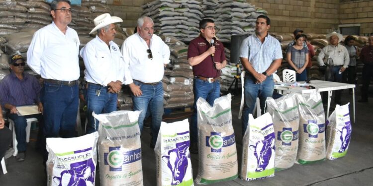 Autoriza Gobierno de Tamaulipas programa emergente para ganaderos afectados por la sequía