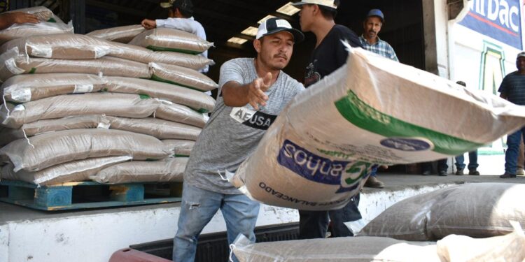 Autoriza Gobierno de Tamaulipas programa emergente para ganaderos afectados por la sequía