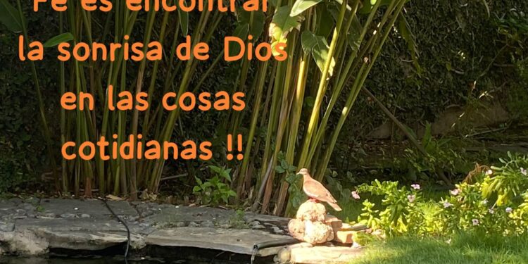 Continúa Gobierno de Tamaulipas con monitoreo y control del cancro de los cítricos