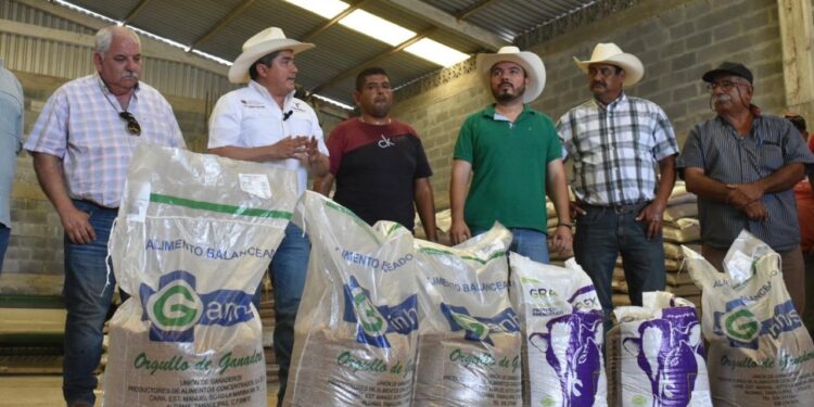 Productores de González reciben suplementos alimenticios para el ganado