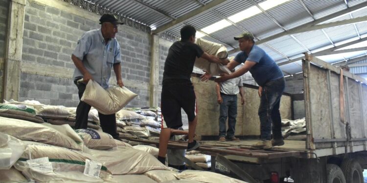 Productores de González reciben suplementos alimenticios para el ganado