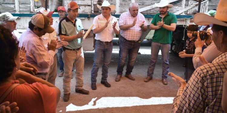 Productores de González reciben suplementos alimenticios para el ganado