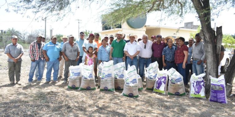 Productores de González reciben suplementos alimenticios para el ganado