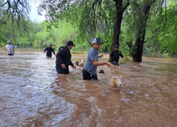 Realiza Guardia Estatal labores de auxilio en comunidades aledañas a ríos a través del Plan Tamaulipas