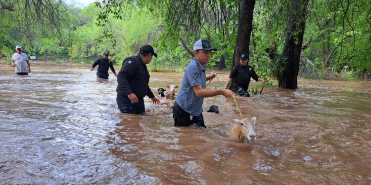 Realiza Guardia Estatal labores de auxilio en comunidades aledañas a ríos a través del Plan Tamaulipas