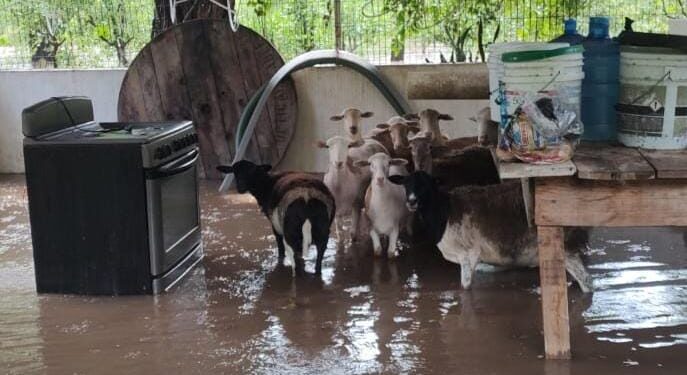Realiza Guardia Estatal labores de auxilio en comunidades aledañas a ríos a través del Plan Tamaulipas