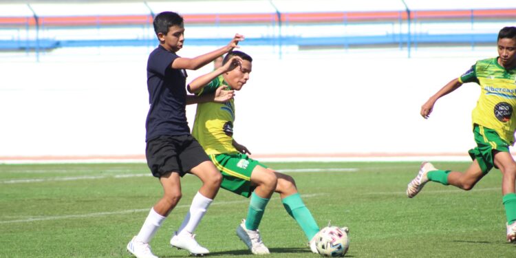 Preparan torneo de futbol asociación, Copa UAT Tamaulipas