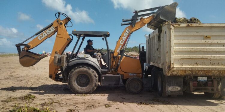 Contribuye Turismo con maquinaria para limpieza de lirio en playa Miramar