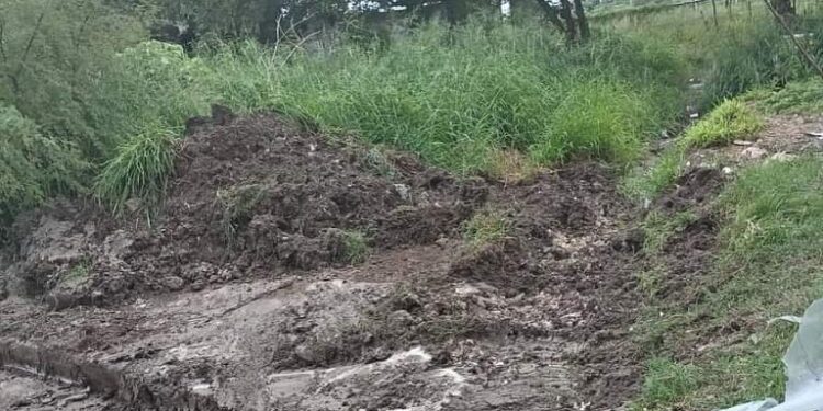 Realiza municipio labores de desazolve y limpieza de predio