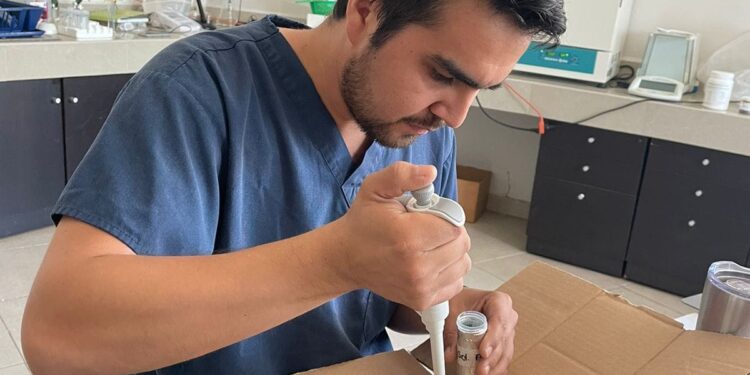 Desarrolla UAT bioinsecticida para combatir plagas que afectan la apicultura