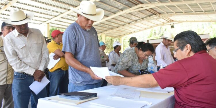 Reciben productores de Palmillas semilla de maíz