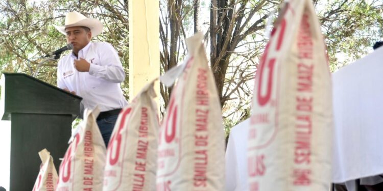 Reciben productores de Palmillas semilla de maíz