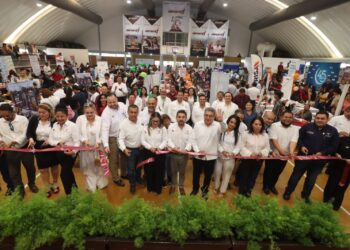 Feria de Empleo Altamira 2024 ofreció más de mil vacantes