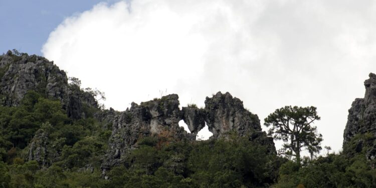 Fortalece Tamaulipas medidas para proteger reservas naturales