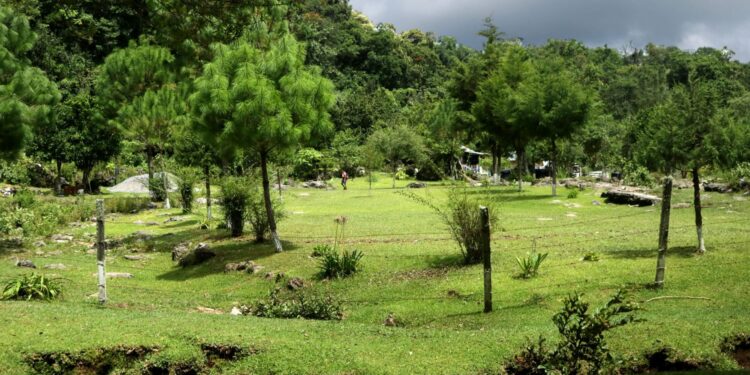 Fortalece Tamaulipas medidas para proteger reservas naturales