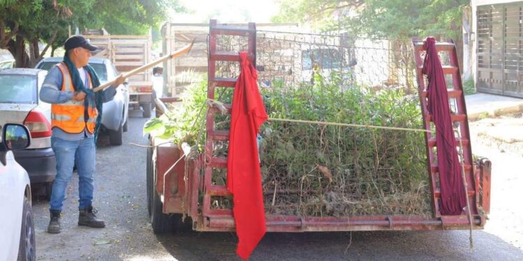 El municipio de Victoria trabaja en el reforzamiento de acciones para la prevención y control del dengue