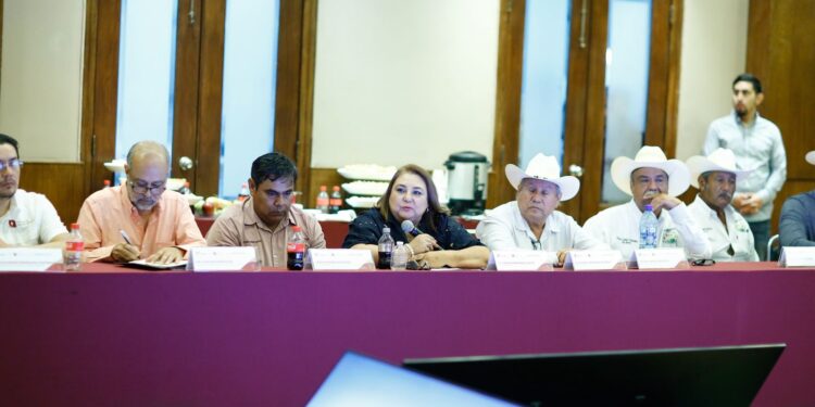 Anuncia Américo Villarreal apoyo adicional para productores de sorgo