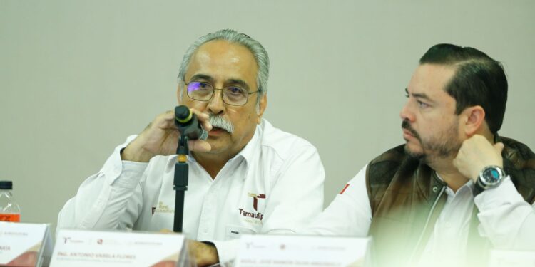 Anuncia Américo Villarreal apoyo adicional para productores de sorgo