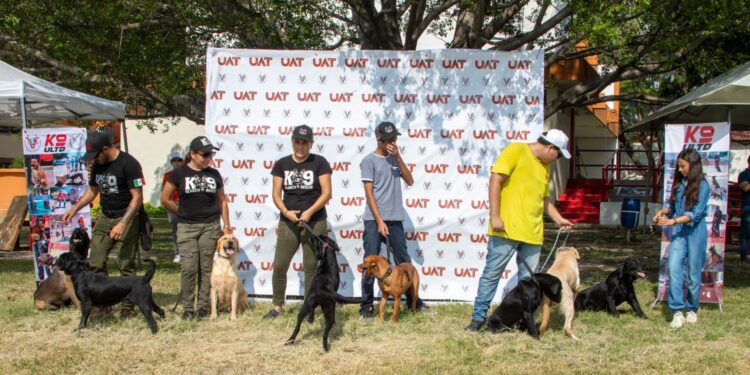 Pondrá la UAT en adopción héroes caninos