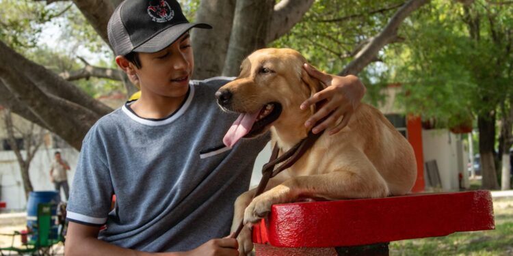 Pondrá la UAT en adopción héroes caninos