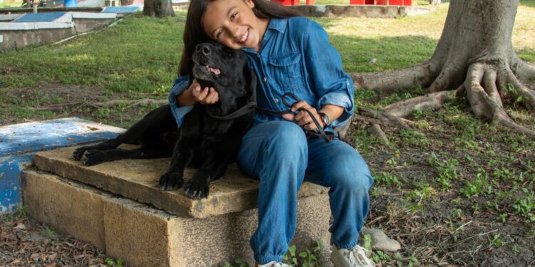 Pondrá la UAT en adopción héroes caninos