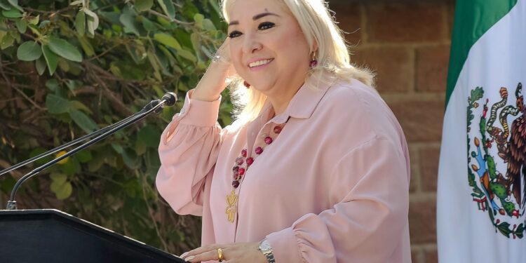 Próximo a vencer decreto de regularización de autos americanos: Adriana Lozano