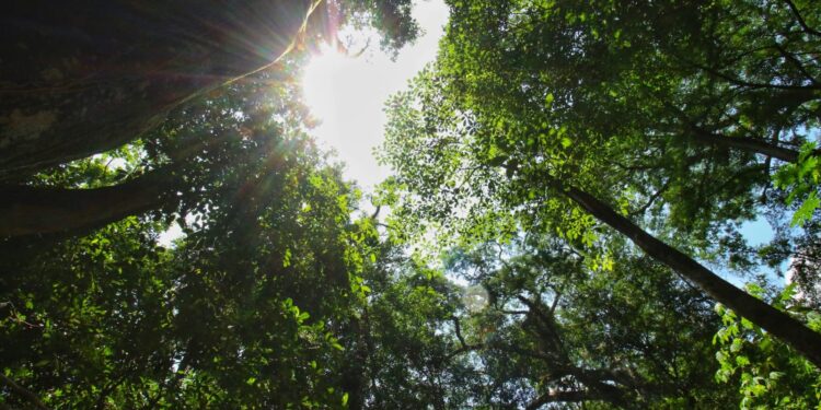 Actualiza SEDUMA programa para protección de Biósfera El Cielo