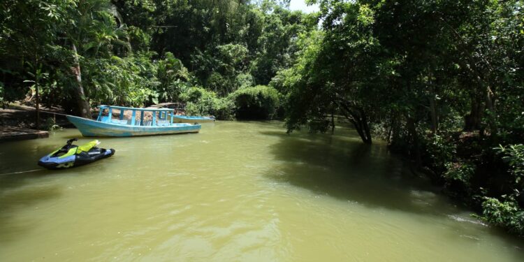 Actualiza SEDUMA programa para protección de Biósfera El Cielo