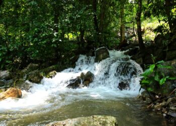 Actualiza SEDUMA programa para protección de Biósfera El Cielo