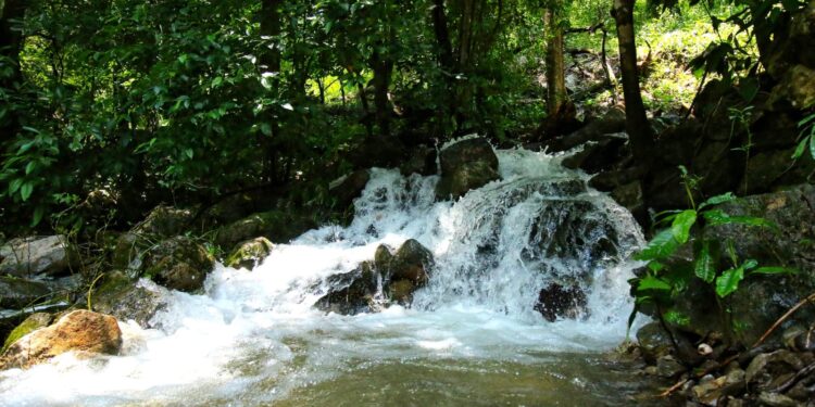 Actualiza SEDUMA programa para protección de Biósfera El Cielo